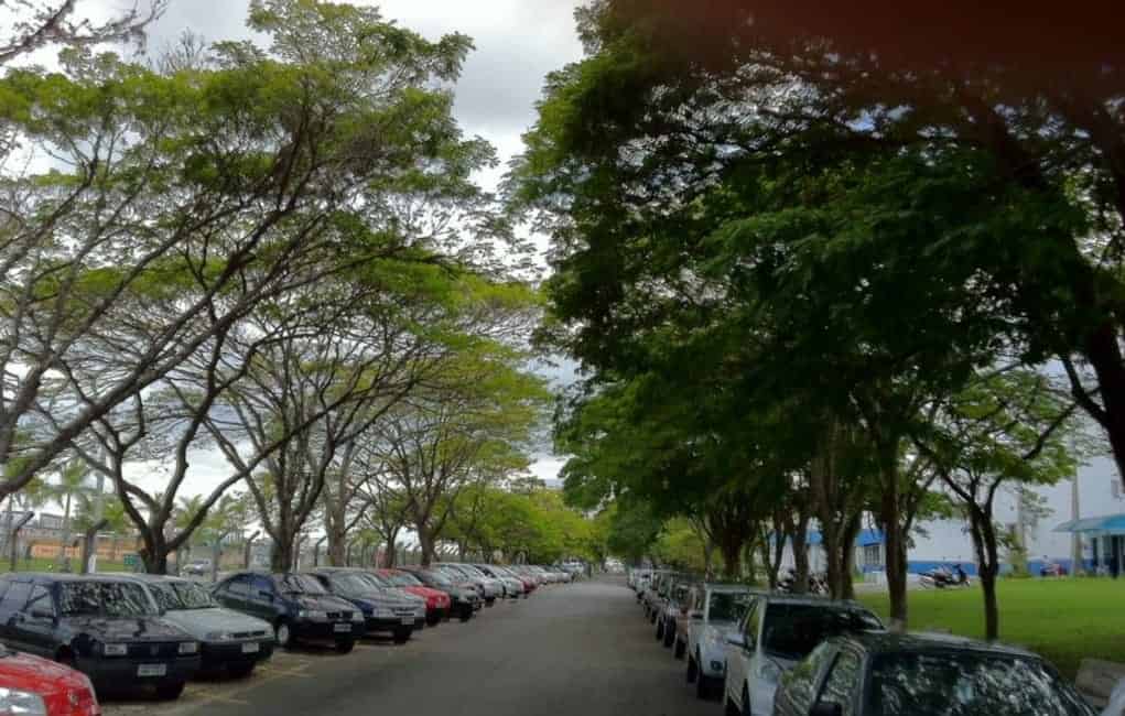 Imagem 4 - 32770892