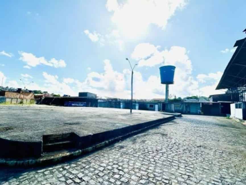 Imagem 6 - 35010551