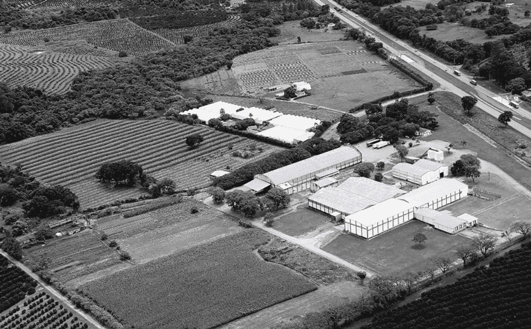 Galpão em Santo Antônio de Posse / SP — foto 2
