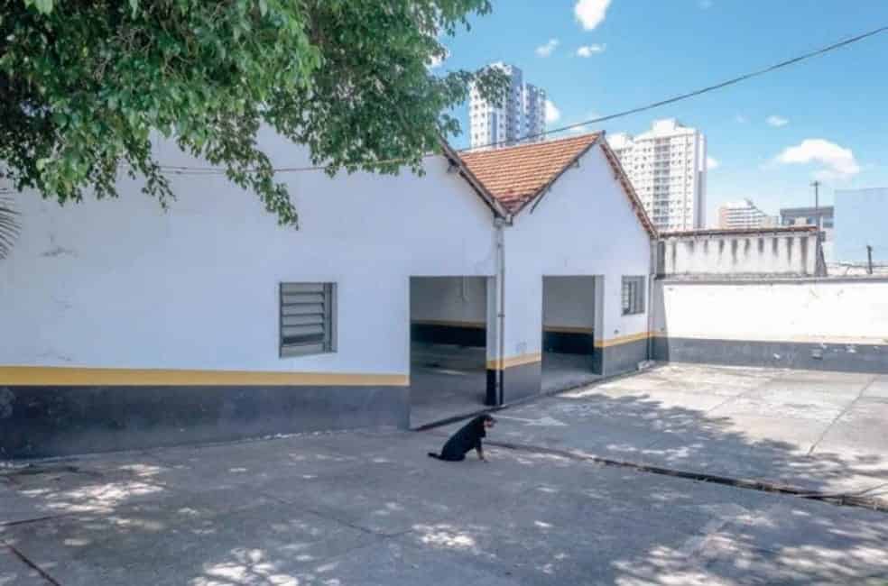 Imagem 6 - 35006974
