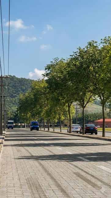 Imagem 4 - 35010928