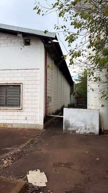Galpão em Barretos / SP — foto 8