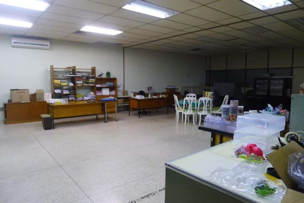 Galpão em São Caetano do Sul / SP — foto 5