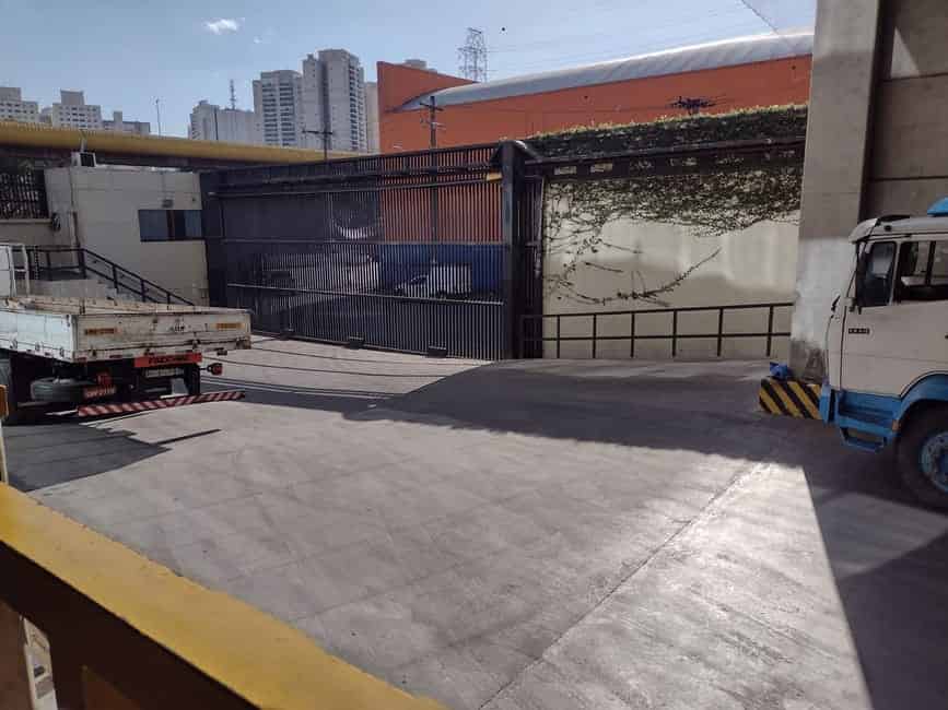 Imagem 3 - 74260847