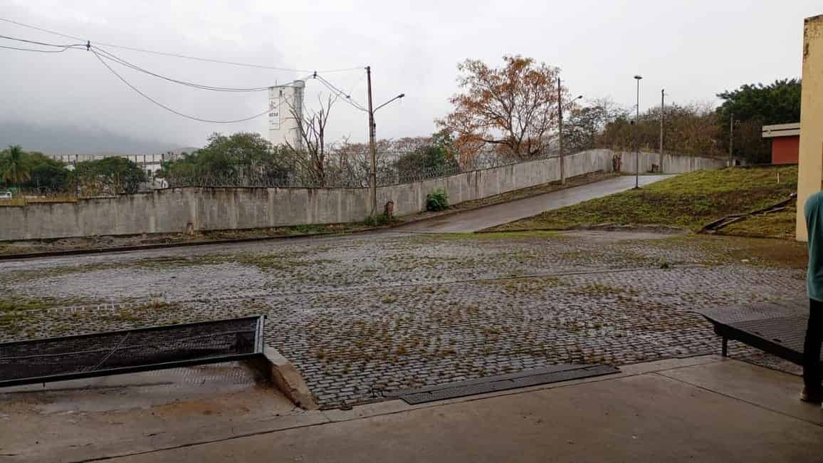 Imagem 8 - 35010832