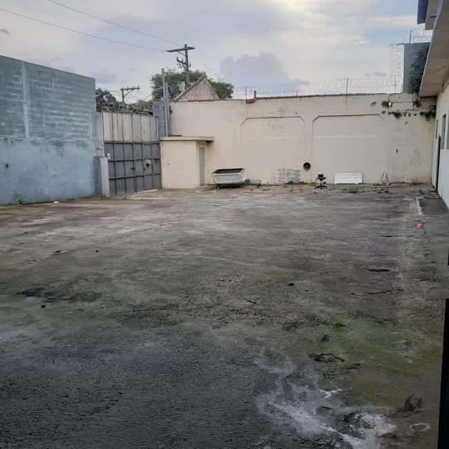 Galpão em Santo André / SP — foto 4