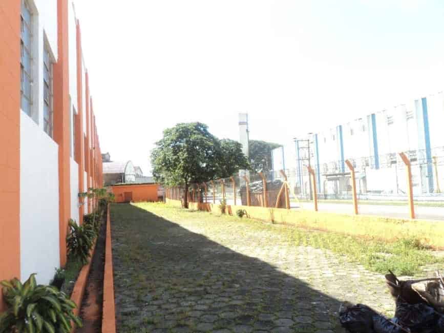 Imagem 14 - 32059419