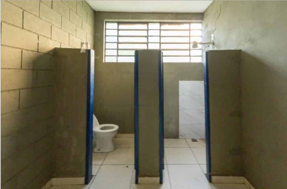 Imagem 11 - 35007674