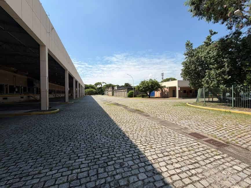 Imagem 8 - 35010991