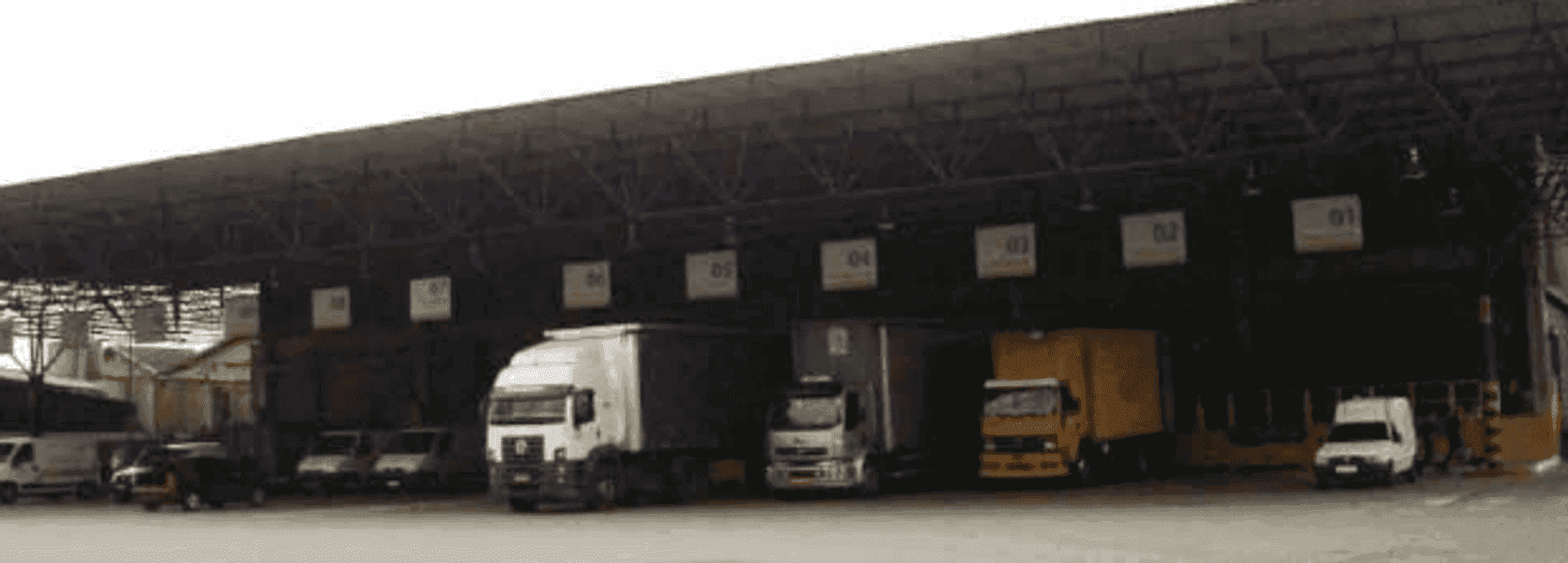 Imagem 3 - 35006531