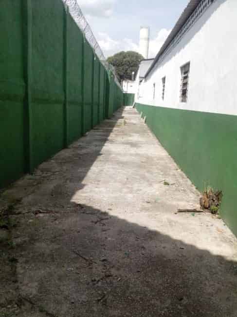 Imagem 4 - 35007010