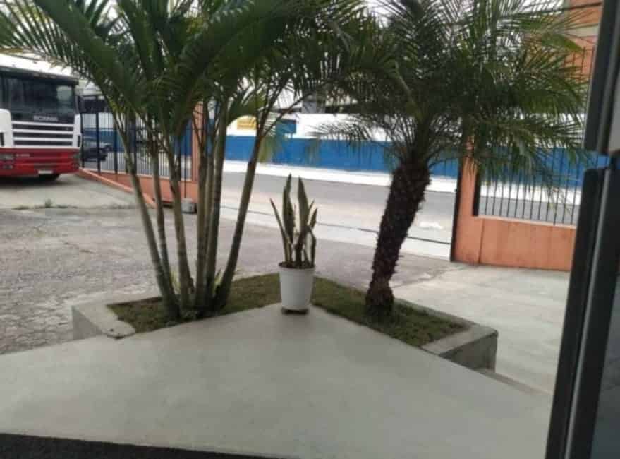 Imagem 3 - 35007009