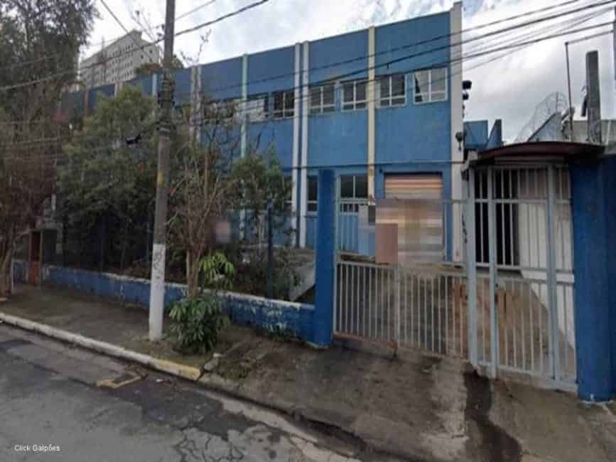 Imagem 13 - 72248327