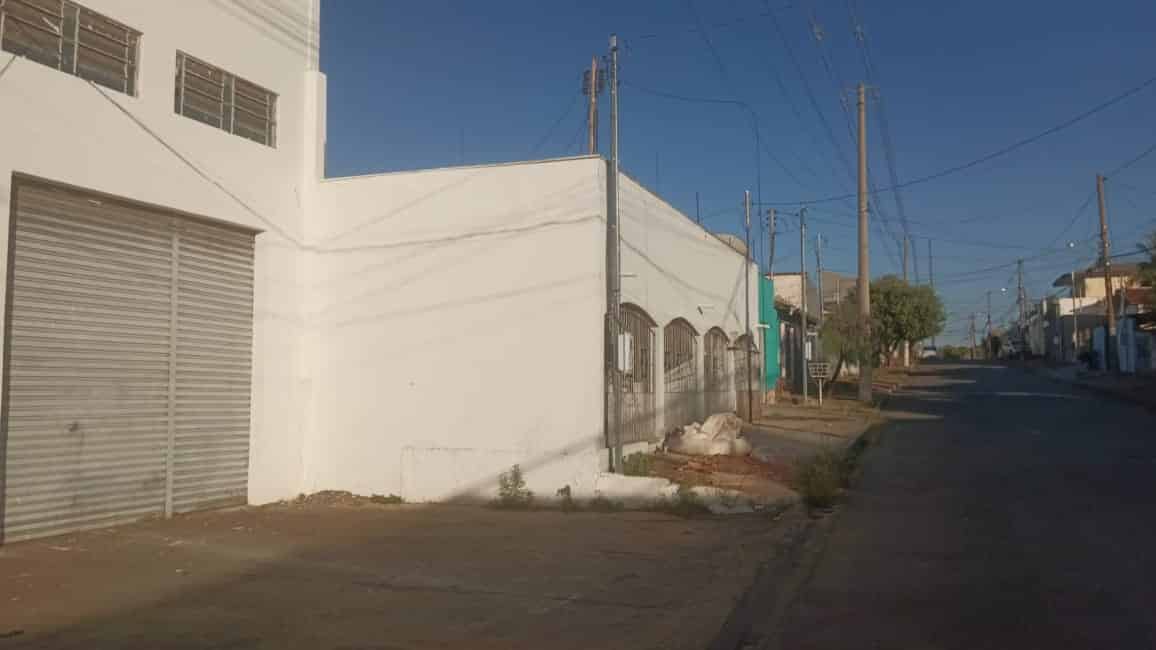 Imagem 6 - 35010309