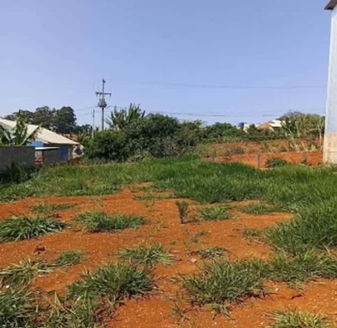 Galpão em Siqueira Campos / PR — foto 5