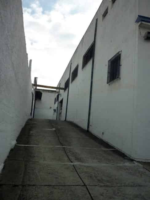 Imagem 4 - 35007141