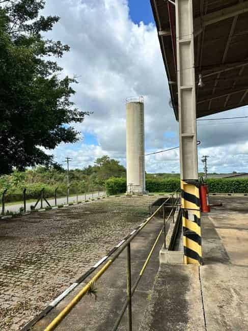 Imagem 5 - 35010525