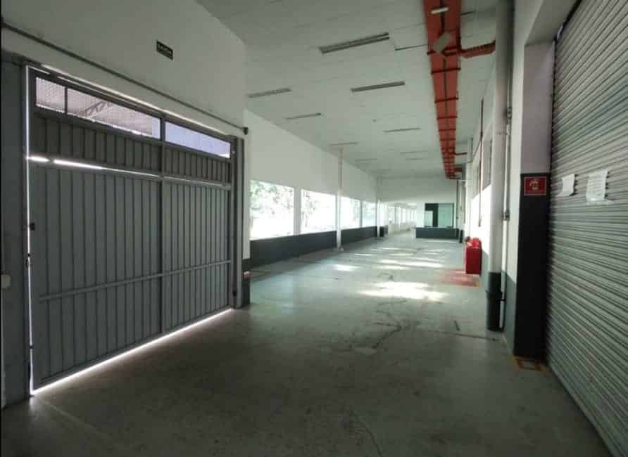 Imagem 5 - 32059831