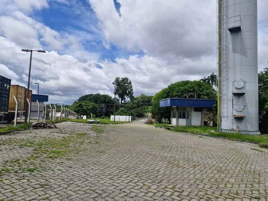 Imagem 10 - 35007444
