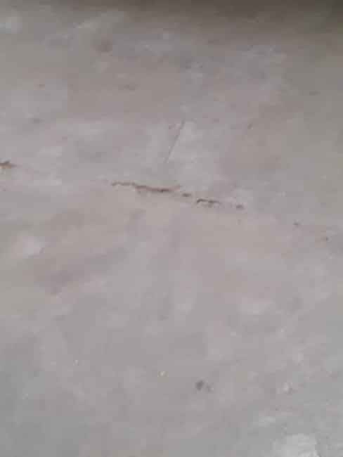 Imagem 24 - 35008181