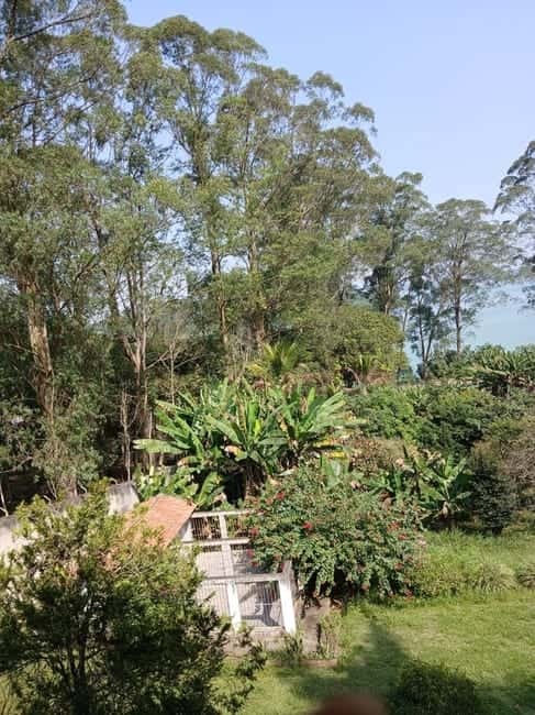Galpão em São Bernardo do Campo / SP — foto 17
