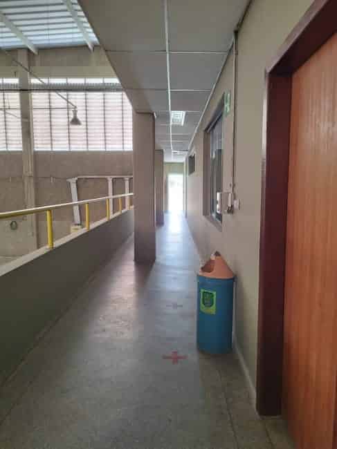 Imagem 6 - 35008632