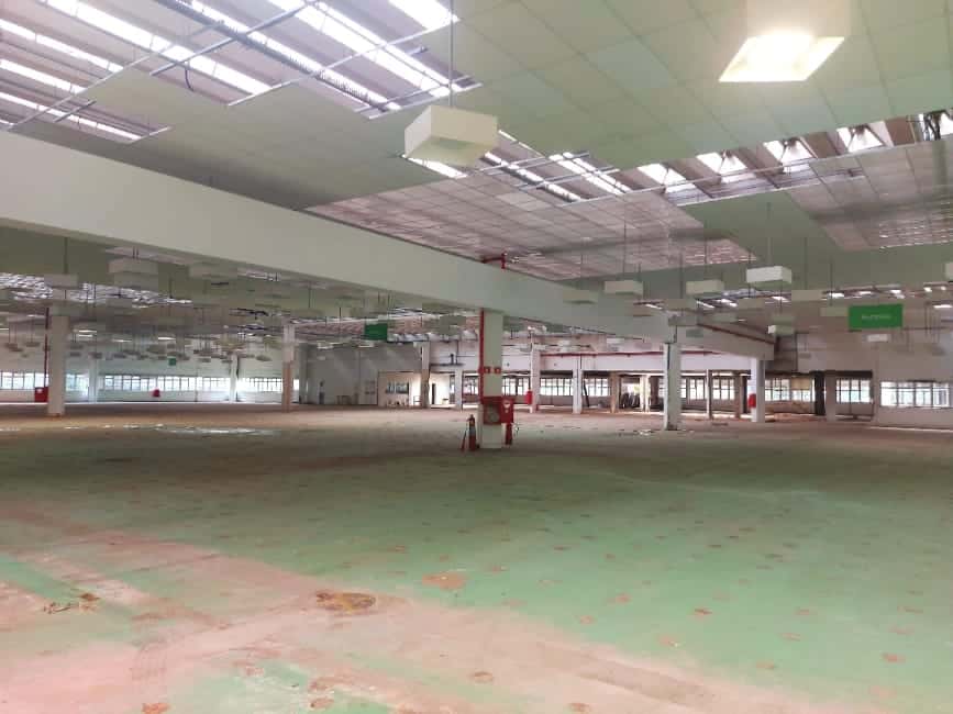 Galpão em São Paulo / SP — foto 9