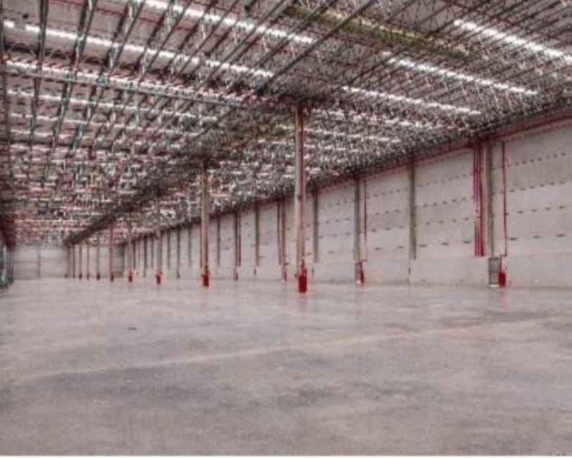 Imagem 11 - 32059529