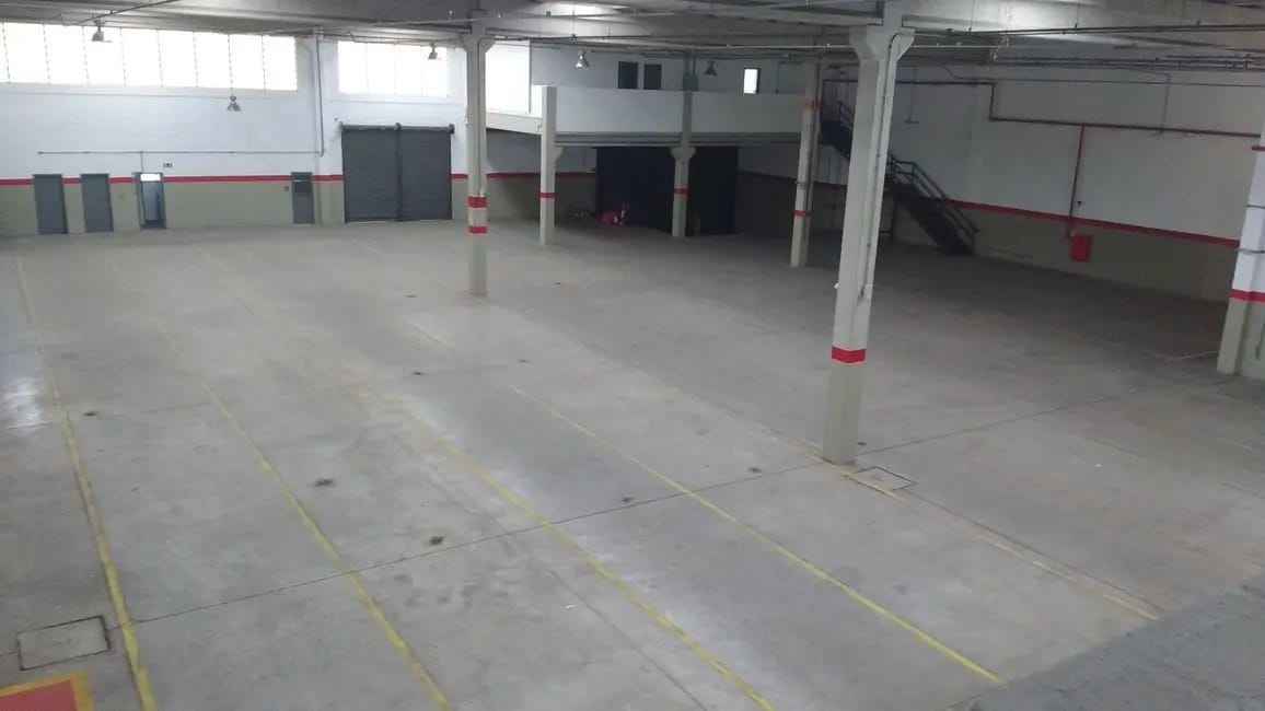 Imagem 17 - 32058520